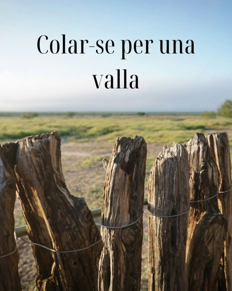 Instagram post from espai.arcaita. This post is in position 4.