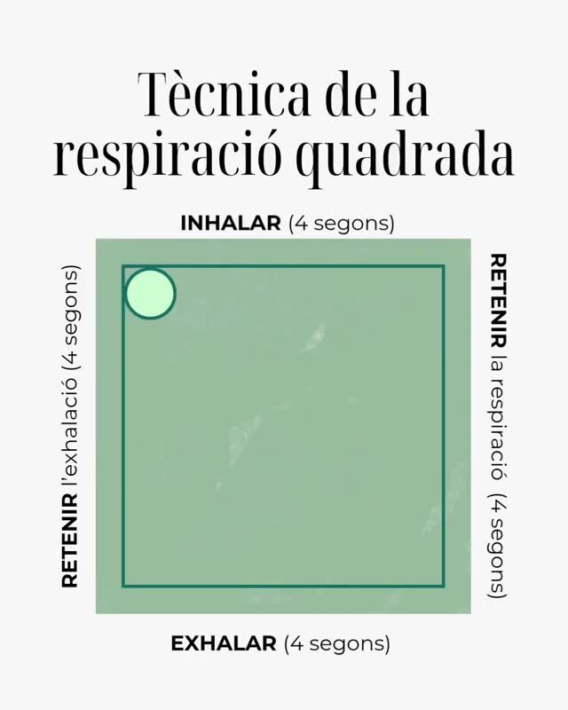 Instagram post from espai.arcaita. This post is in position 4.