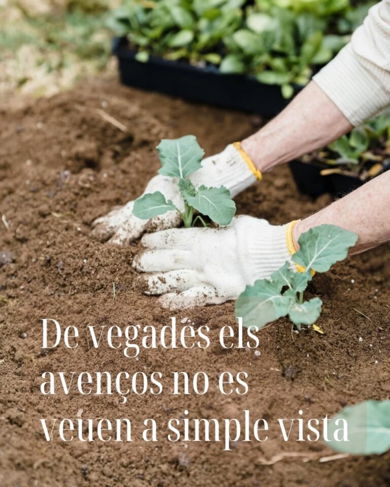 Instagram post from espai.arcaita. This post is in position 9.